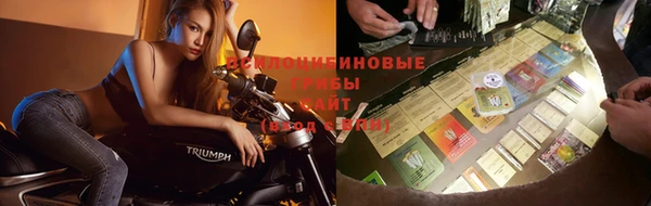 прущая мука Зеленокумск